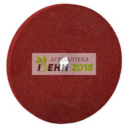 Диск за машина за точене на вериги 100x10x3.2 mm