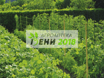 Мрежа за краставици - 1.70 - 10м