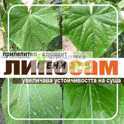 Липосам - 250мл