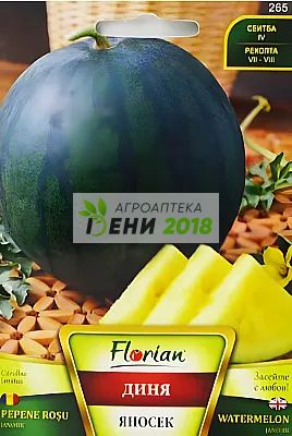 Диня Яносек -2г