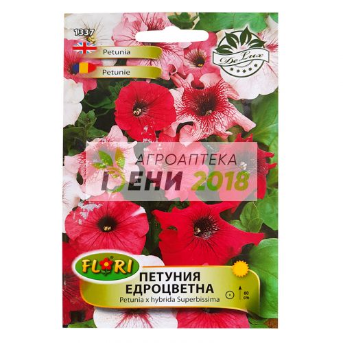 Петуния Едроцветна