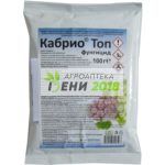 Кабрио Топ - 100 г