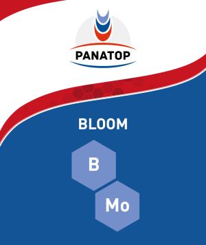 Панатоп  Bloom -  250 мл