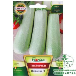 Тиквички Изобилна F1 - 5г