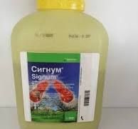 Сигнум ВГ - 1кг