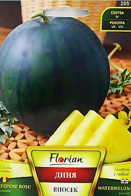 Диня Яносек -2г