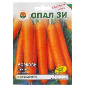 Моркови Нантес