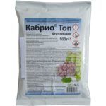 Кабрио Топ - 100 г